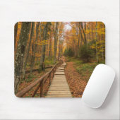 Tapis De Souris Traverser la forêt d'automne. (Avec souris)