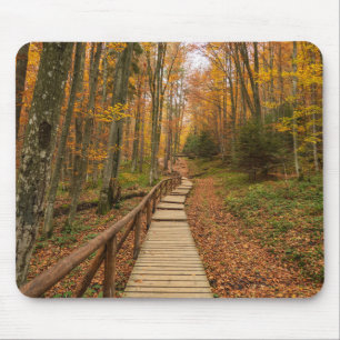 Tapis De Souris Traverser la forêt d'automne.