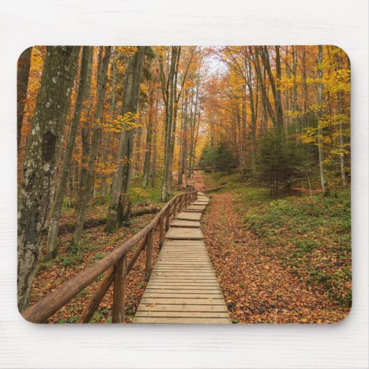 Tapis De Souris Traverser la forêt d'automne. (Devant)
