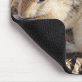 Tapis De Souris Treize ont rayé l'écureuil moulu (Coin)