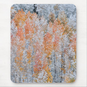 Tapis De Souris Trembles & Neige Montagnes Rocheuses, Colorado