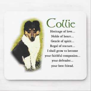 Tapis De Souris Tri Color Rough Collie Toxits