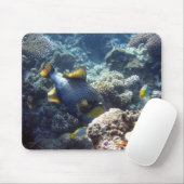 Tapis De Souris Triggerfish de titan sur la Grande barrière de (Avec souris)