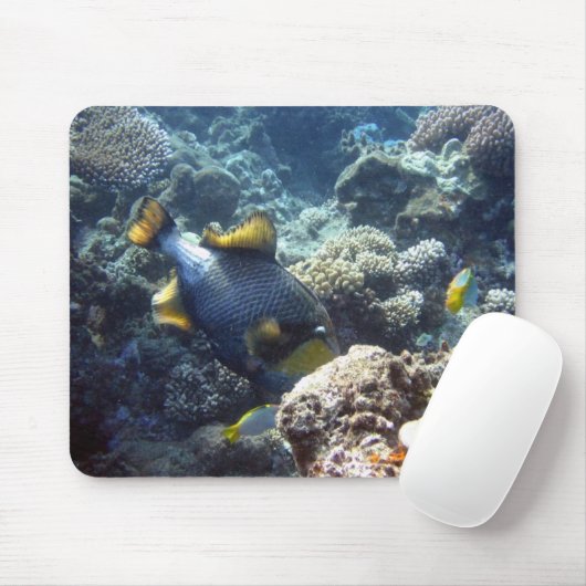 Tapis De Souris Triggerfish Mousepad de titan (Avec souris)
