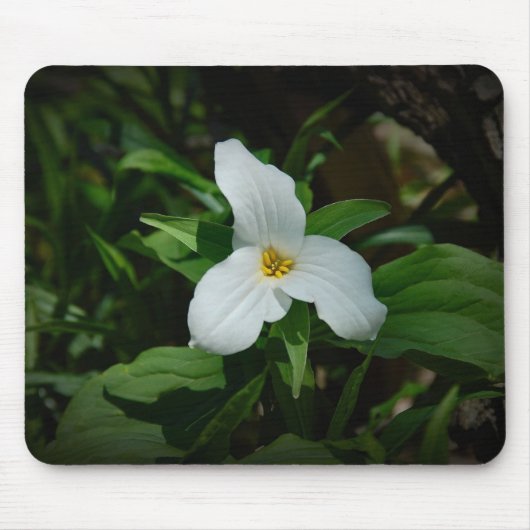 Tapis De Souris Trillium (Devant)