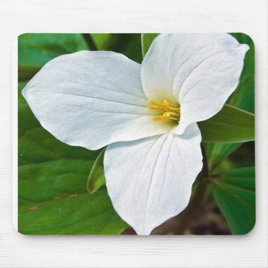 Tapis De Souris Trillium du printemps (Devant)
