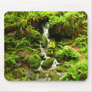 Tapis De Souris Trillium Falls à Redwood National Park