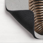 Tapis De Souris Trilobite Mousepad (Coin)
