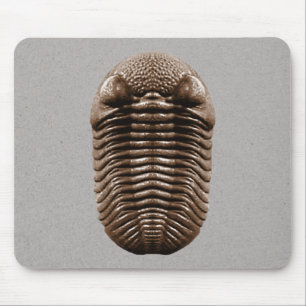 Tapis De Souris Trilobite Mousepad
