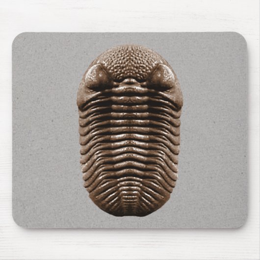 Tapis De Souris Trilobite Mousepad (Devant)