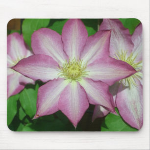 Tapis De Souris Trio de Clematis Pink and White Spring Vine