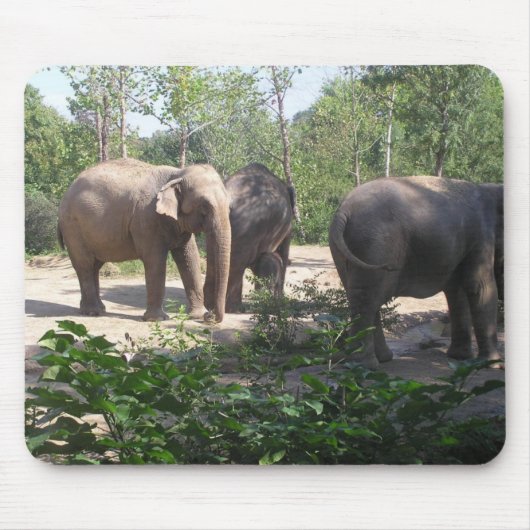 Tapis De Souris Trio Mousepad d'éléphant (Devant)
