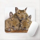 Tapis De Souris Trio somnolant de Degu (Avec souris)