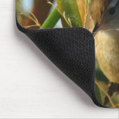 Tapis De Souris Troglodyte des marais B3 (Coin)