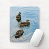Tapis De Souris Trois (Avec souris)