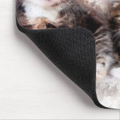 Tapis De Souris Trois belles chatons mignonnes aquarelle (Coin)