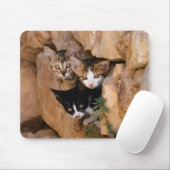 Tapis De Souris Trois chatons curieux (Avec souris)