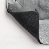 Tapis De Souris Trois chats (Coin)
