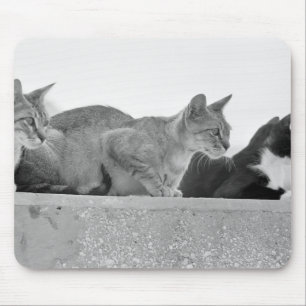 Tapis De Souris Trois chats