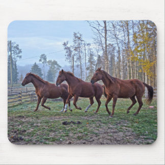Tapis De Souris Trois Chevaux Se Déplaçant Comme Un Cheval Amateur
