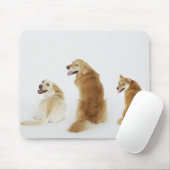 Tapis De Souris Trois chiens regardant la caméra (Avec souris)
