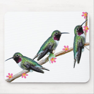 Tapis De Souris Trois colibris perchés sur une branche Floss Silt