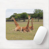 Tapis De Souris Trois girafe à Fossil Rim (Avec souris)