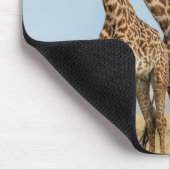 Tapis De Souris Trois girafes posant (Coin)