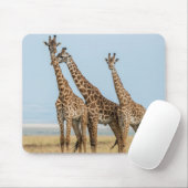 Tapis De Souris Trois girafes posant (Avec souris)