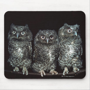 Tapis De Souris trois hiboux
