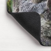 Tapis De Souris Trois Koala dans un arbre (Coin)