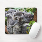 Tapis De Souris Trois Koala dans un arbre (Avec souris)