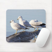 Tapis De Souris Trois mouettes sur un bûcher (Avec souris)