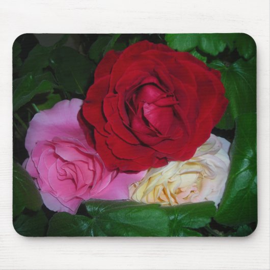TAPIS DE SOURIS TROIS ROSES (Devant)