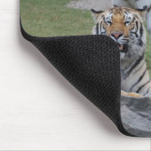 Tapis De Souris Trois tigres (Coin)
