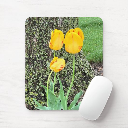 Tapis De Souris Trois Tulipes Jaunes / (Avec souris)