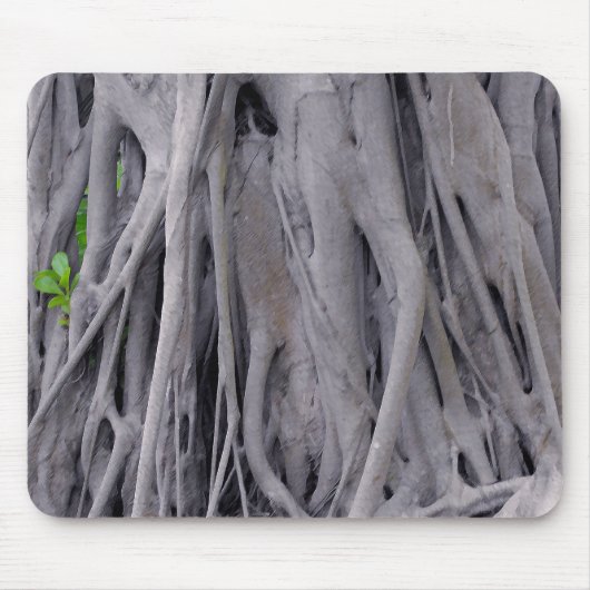 Tapis De Souris Tronc d'arbre de Banyan (Devant)