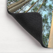 Tapis De Souris Troncs Et Feuilles D'Aspen, Yukon (Coin)