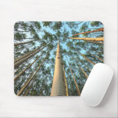 Tapis De Souris Troncs Et Feuilles D'Aspen, Yukon (Avec souris)