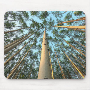 Tapis De Souris Troncs Et Feuilles D'Aspen, Yukon
