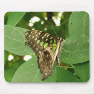 Tapis De Souris Tropical Iridescente Papillon vert Mousepad