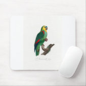 Tapis De Souris tropical macaw parrot (Avec souris)