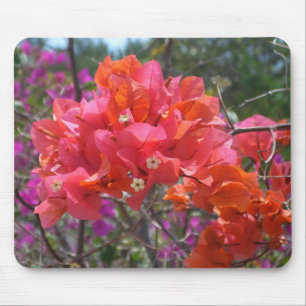 Tapis De Souris Tropical Pink Bougainvillea Island Floral