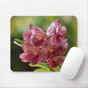 Tapis De Souris Tropical Vanda Orchid Cluster