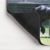 Tapis De Souris Trot de poney de vallées (Coin)