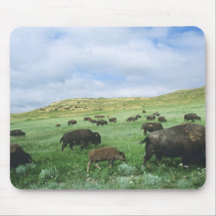 Tapis De Souris Troupeau de bisons broutant l'herbe de la prairie