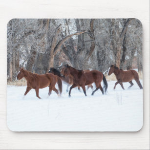 Tapis De Souris Troupeau de chevaux qui courent en hiver neige