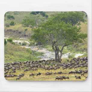 Tapis De Souris Troupeau massif de gnous pendant la migration,