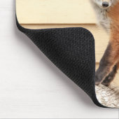 Tapis De Souris Trousse Red Fox dans la vallée de l'Hudson (Coin)