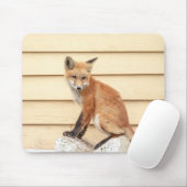 Tapis De Souris Trousse Red Fox dans la vallée de l'Hudson (Avec souris)